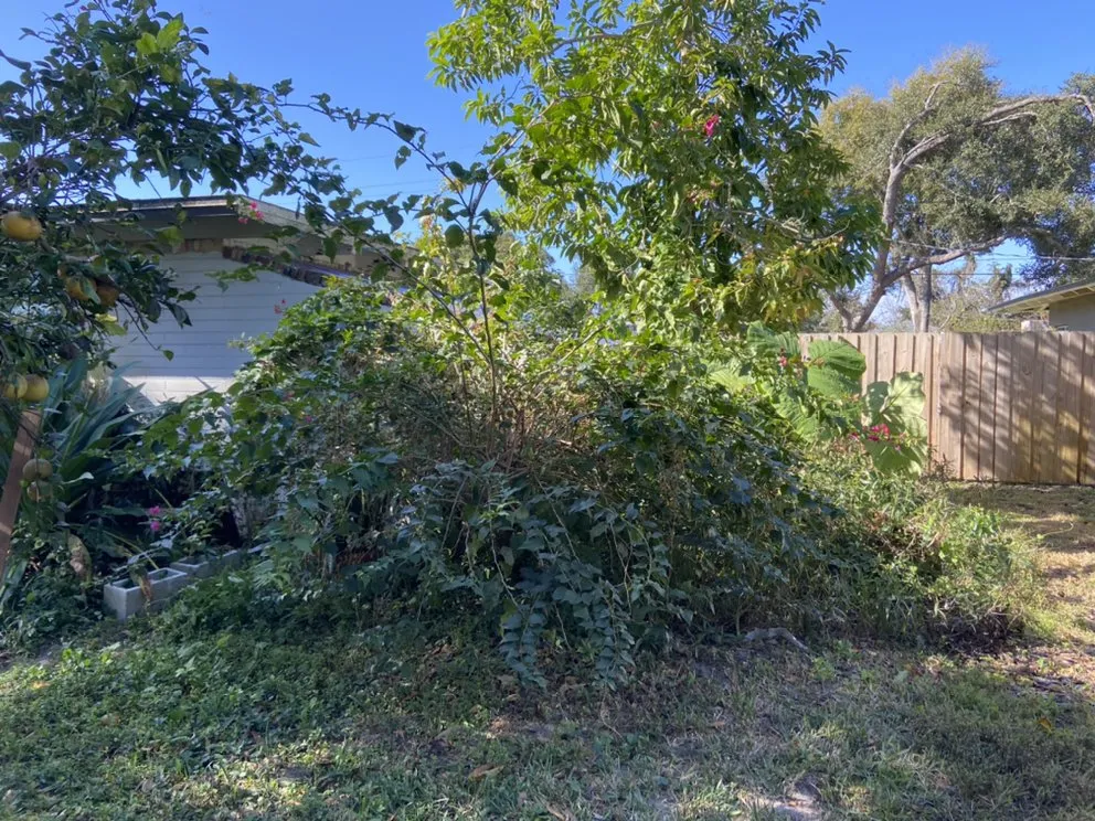 Professional yard maintenance experts serving Davenport, FL - Natalie's Lawn Care And Maintenance