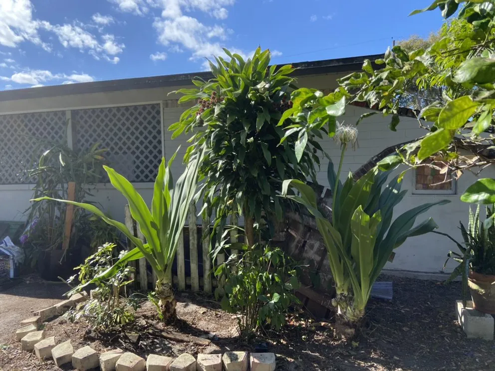 Reliable outdoor landscaping experts serving Davenport, FL - Natalie's Lawn Care And Maintenance