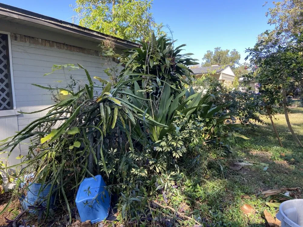 Reliable yard maintenance for year-round maintenance in Davenport, FL by Natalie's Lawn Care And Maintenance