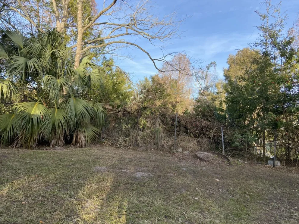 Affordable landscape installation experts serving Davenport, FL - Natalie's Lawn Care And Maintenance