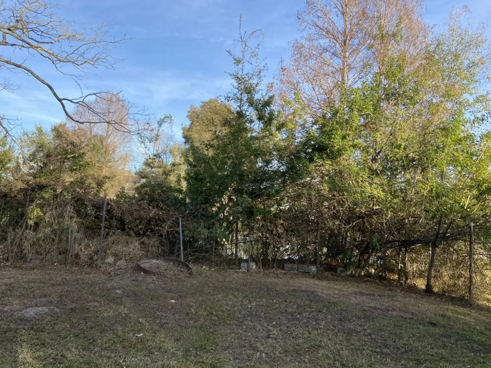 Local yard maintenance experts serving Davenport, FL - Natalie's Lawn Care And Maintenance