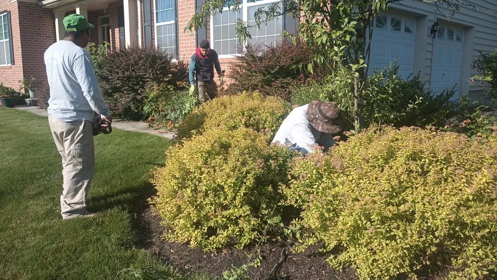 Trusted yard maintenance near you in Plumsteadville, PA by Natareno Landscaping