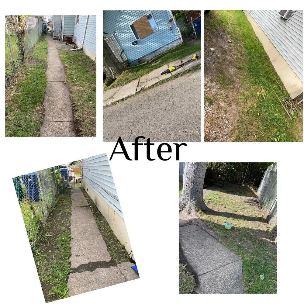 Trusted landscaping services in Lackawanna, NY - Nate And Dijon Handyman Services