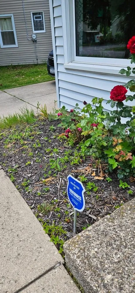 Professional residential landscaping with custom design in Lackawanna, NY by Nate And Dijon Handyman Services