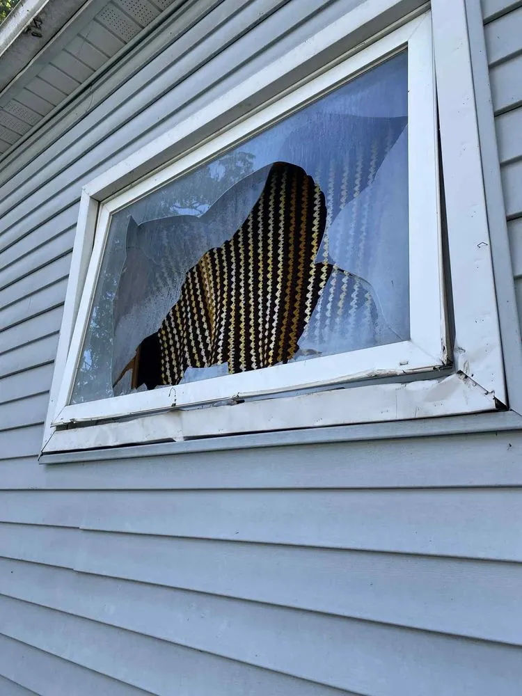 Professional yard cleanup service for homes across Lackawanna, NY - Nate And Dijon Handyman Services