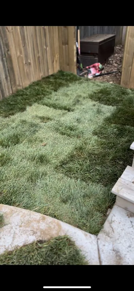 Local landscape installation for beautiful yards across Mt. Juliet, TN - Nate dawgs landscaping