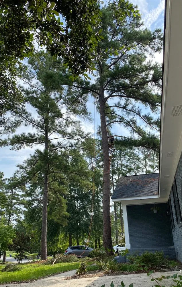 Local residential landscaping experts serving Chapin, SC - Nate Foster Tree Care
