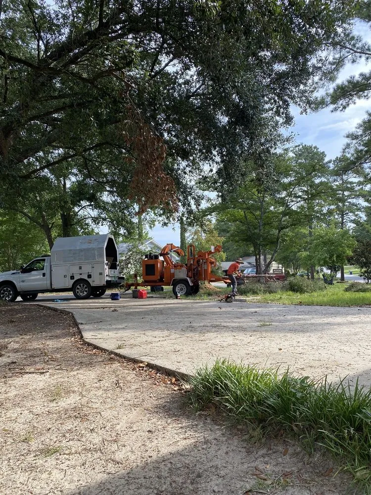 Affordable outdoor landscaping in Chapin, SC - Nate Foster Tree Care