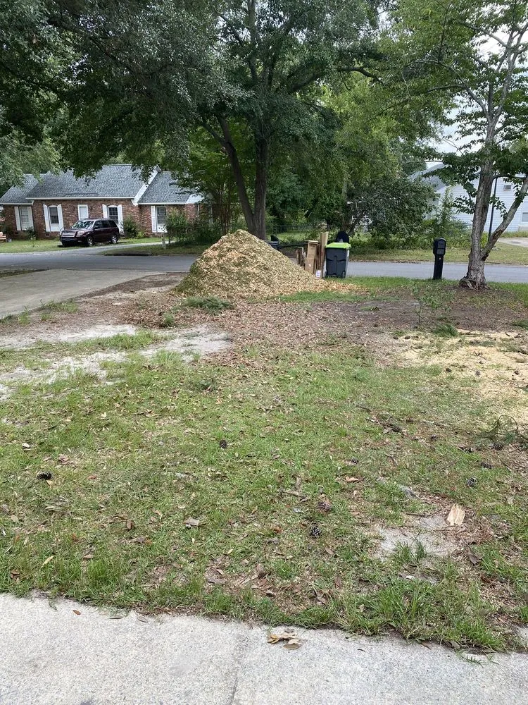 Affordable landscape design with custom design in Chapin, SC by Nate Foster Tree Care