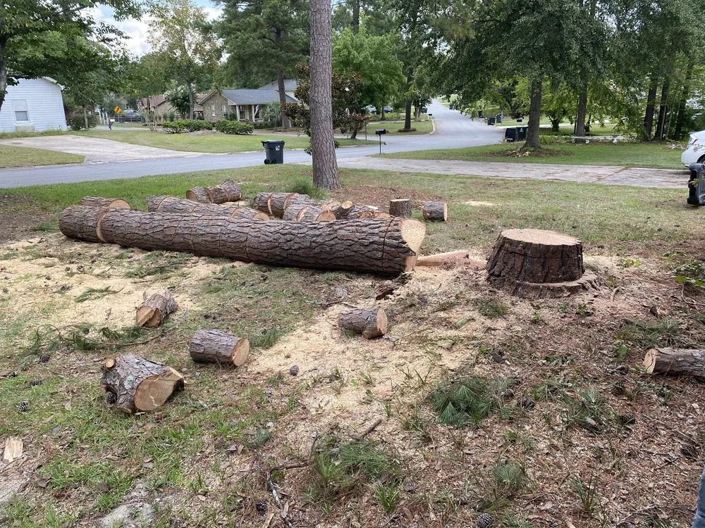 Top-rated landscape installation with custom design in Chapin, SC by Nate Foster Tree Care