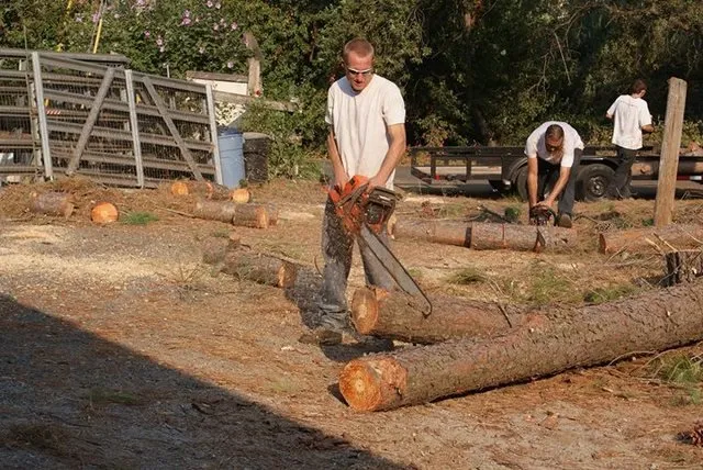 Affordable lawn care service experts serving Chapin, SC - Nate Foster Tree Care