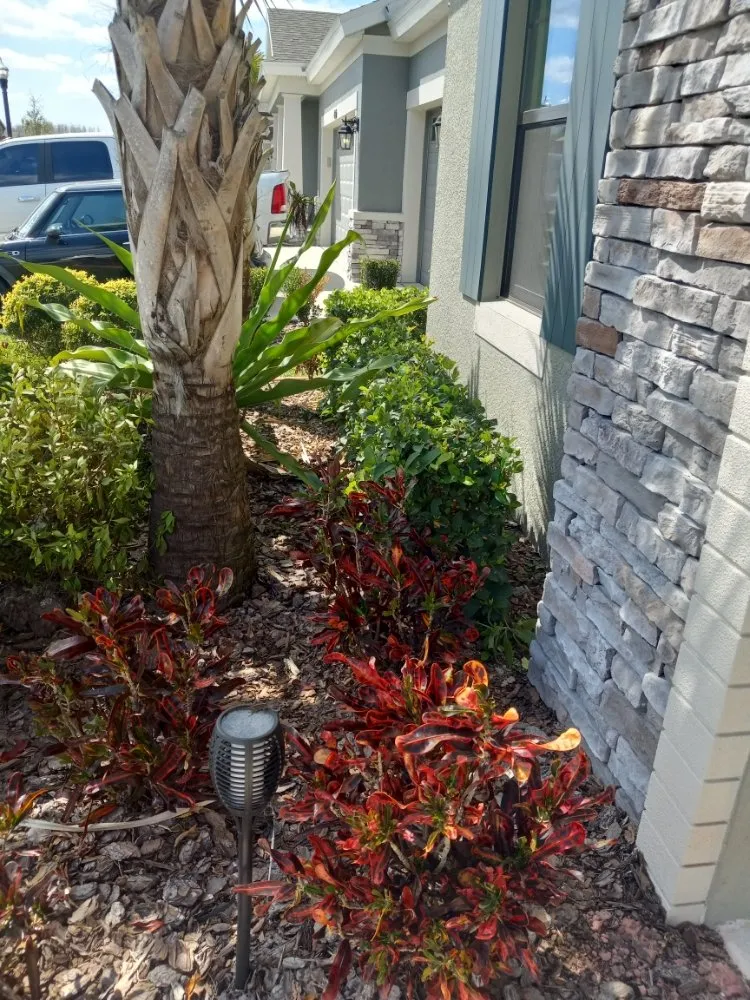 Custom lawn mowing service in Tampa, FL - Nate Landscaping Services