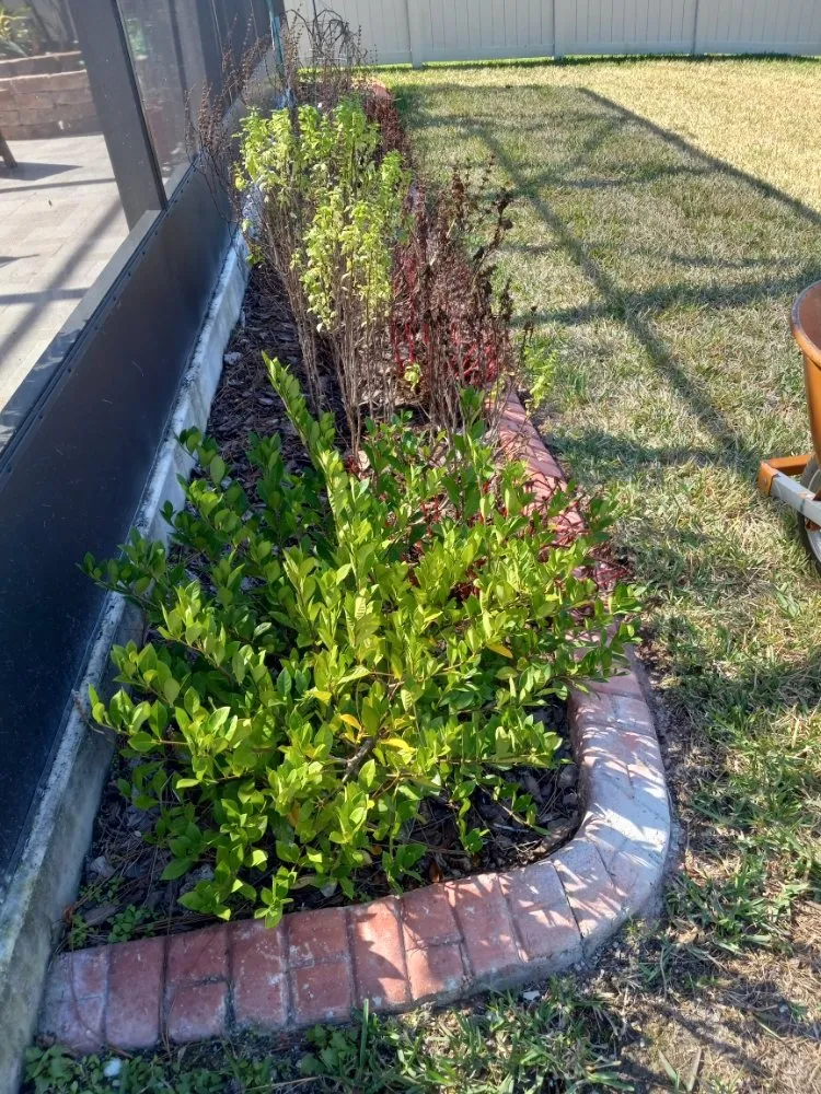 Trusted garden landscaping in Tampa, FL - Nate Landscaping Services