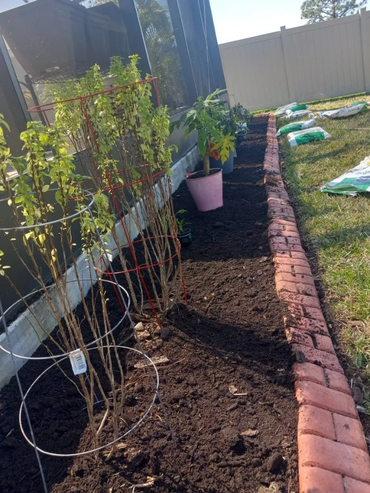 Expert yard maintenance for homes in Tampa, FL by Nate Landscaping Services