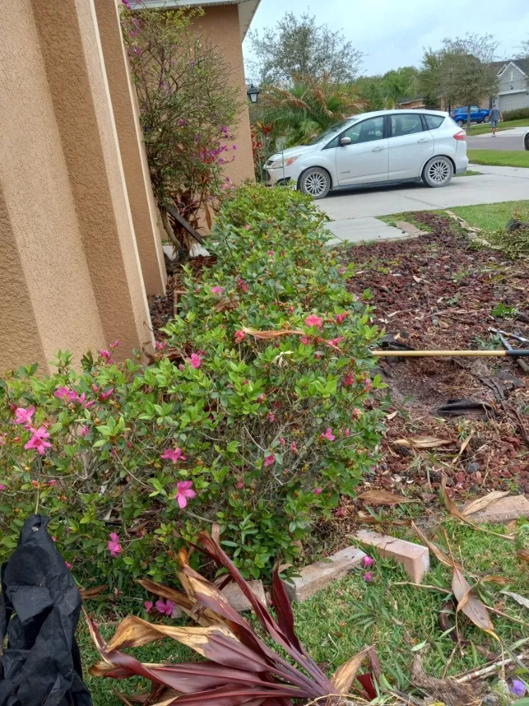 Custom landscaping services for beautiful yards in Tampa, FL by Nate Landscaping Services