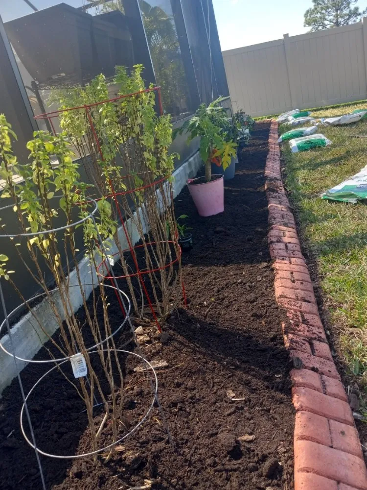 Affordable outdoor landscaping for homes across Tampa, FL - Nate Landscaping Services