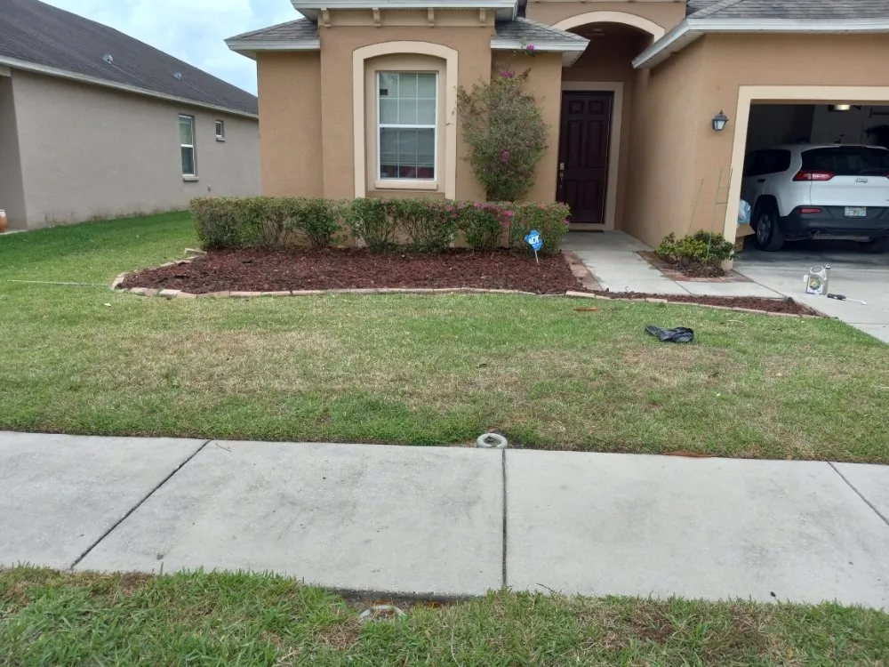 Top-rated yard maintenance experts serving Tampa, FL - Nate Landscaping Services
