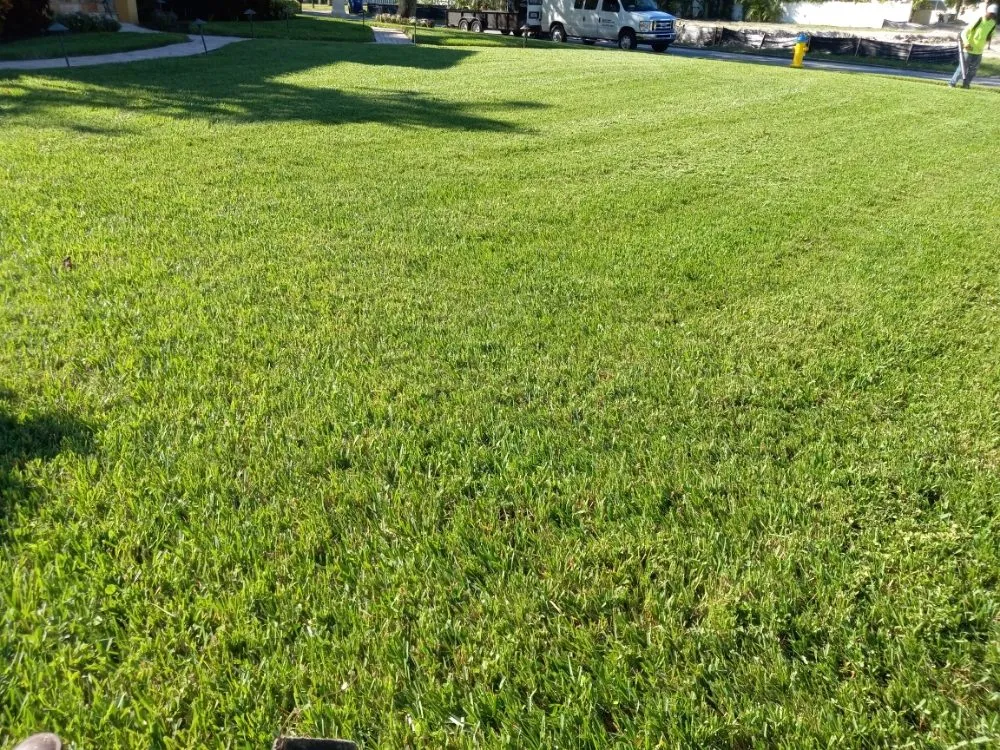 Affordable lawn mowing service near you across Tampa, FL - Nate Landscaping Services