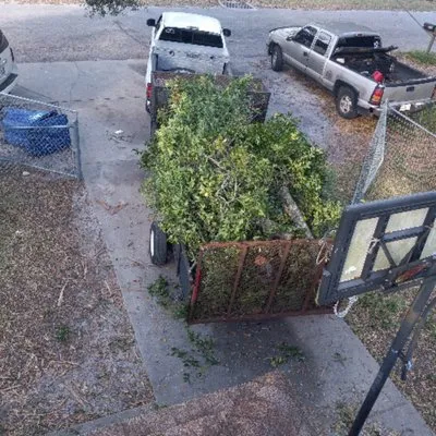 Nate Landscaping Services Logo