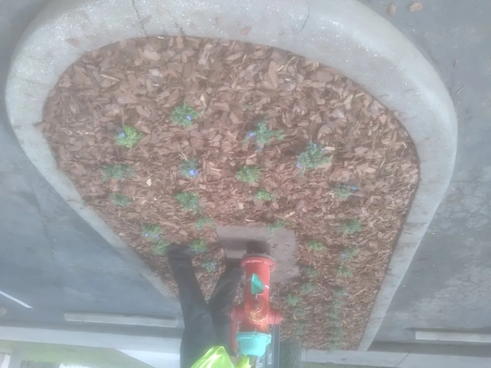 Custom landscaping services experts serving Tampa, FL - Nate Landscaping