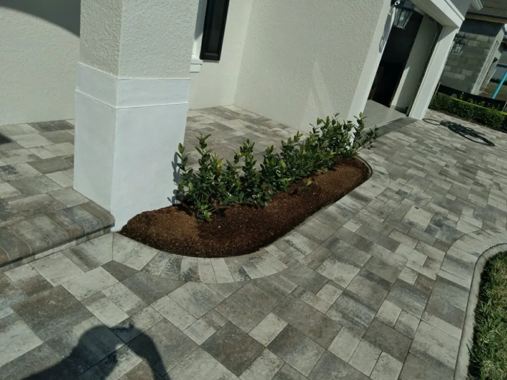 Professional landscape installation in Tampa, FL - Nate Landscaping