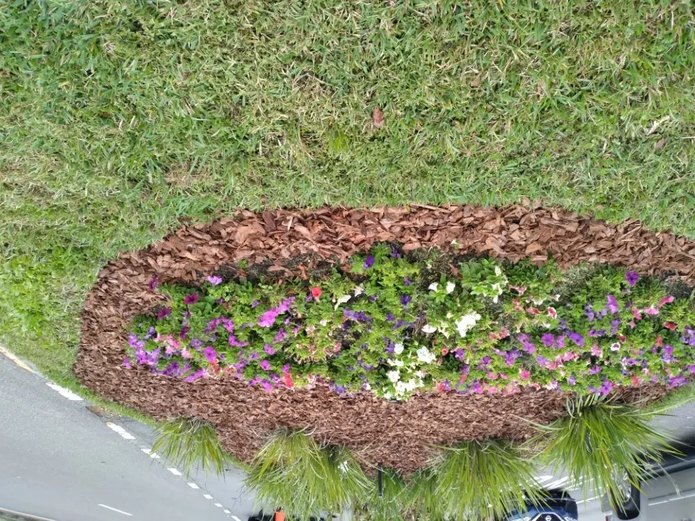 Affordable yard maintenance in Tampa, FL - Nate Landscaping