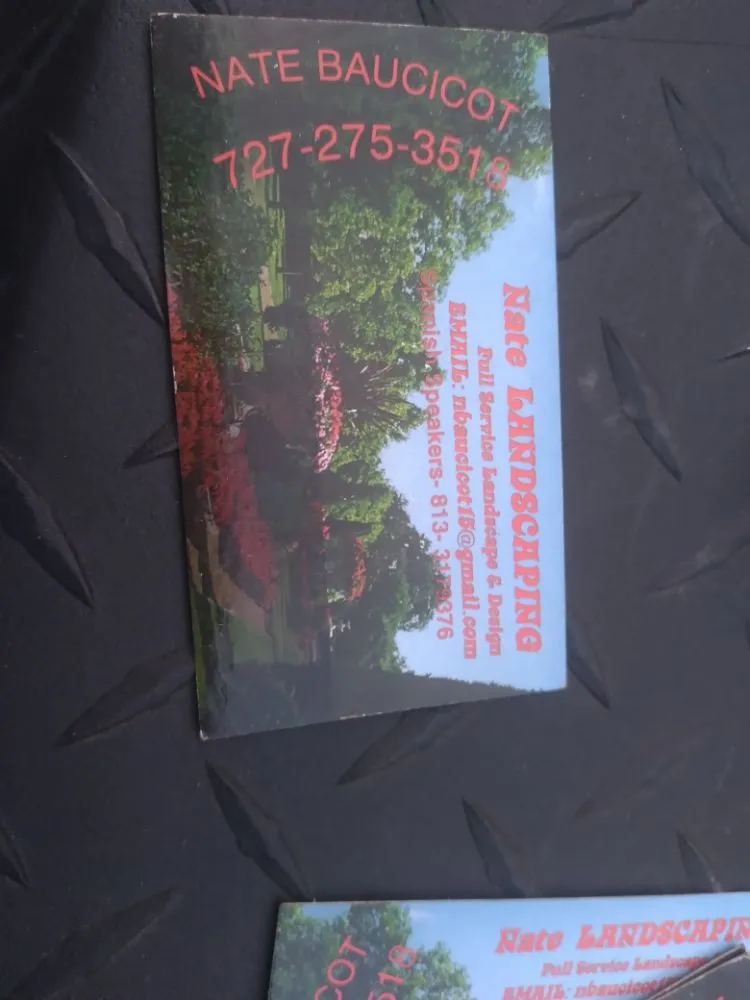 Professional landscaping services for outdoor upgrades in Tampa, FL by Nate Landscaping