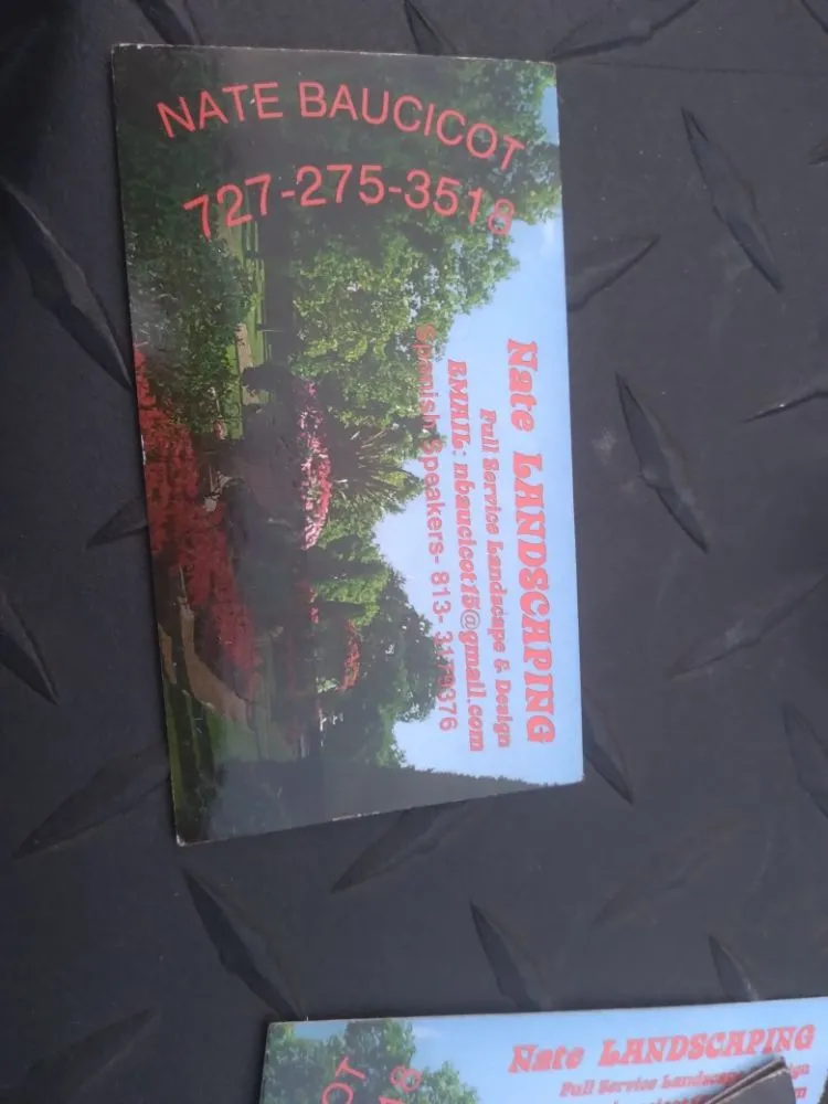 Local lawn care service experts serving Tampa, FL - Nate Landscaping