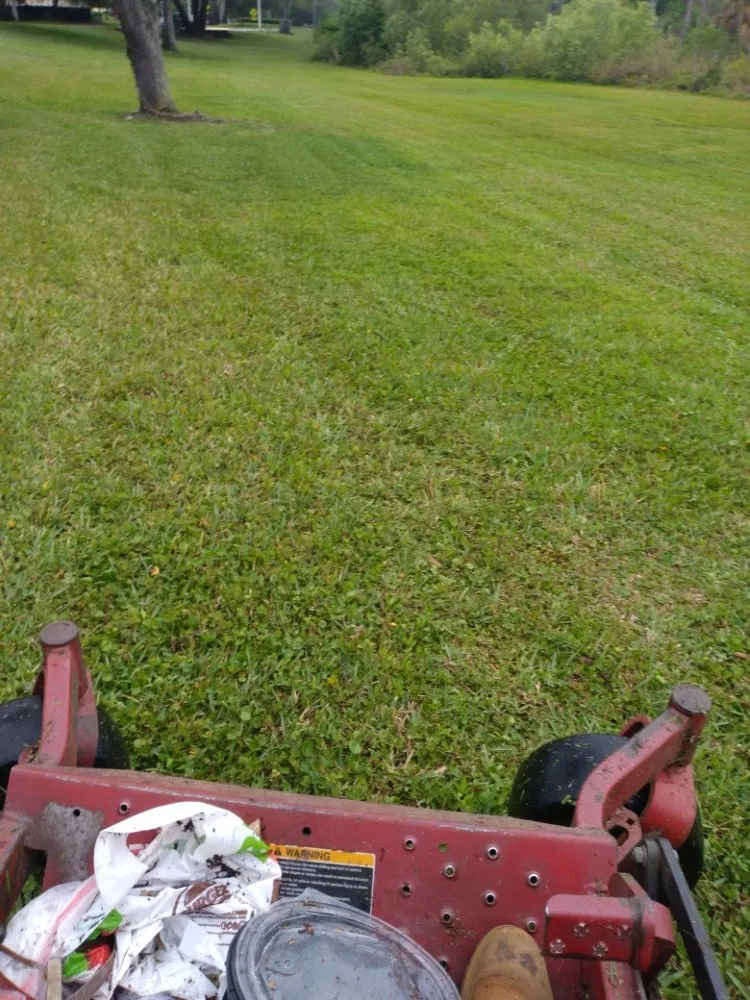 Professional garden landscaping experts serving Tampa, FL - Nate Landscaping