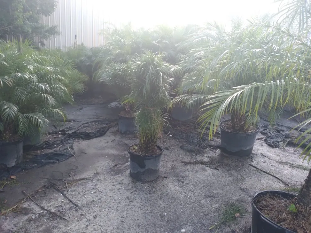 Trusted outdoor landscaping in Tampa, FL by Nate Landscaping