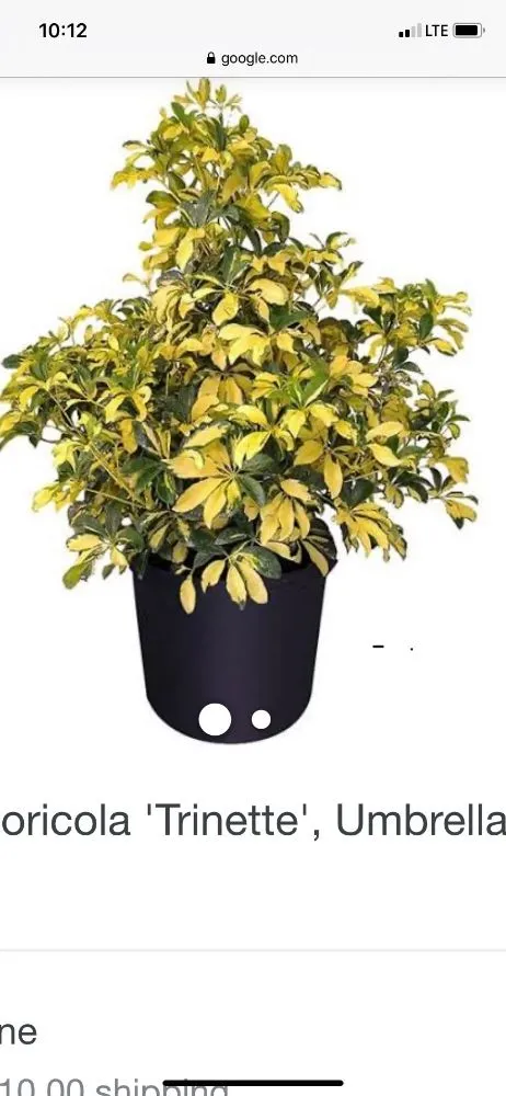 Reliable outdoor landscaping in Tampa, FL by Nate Landscaping