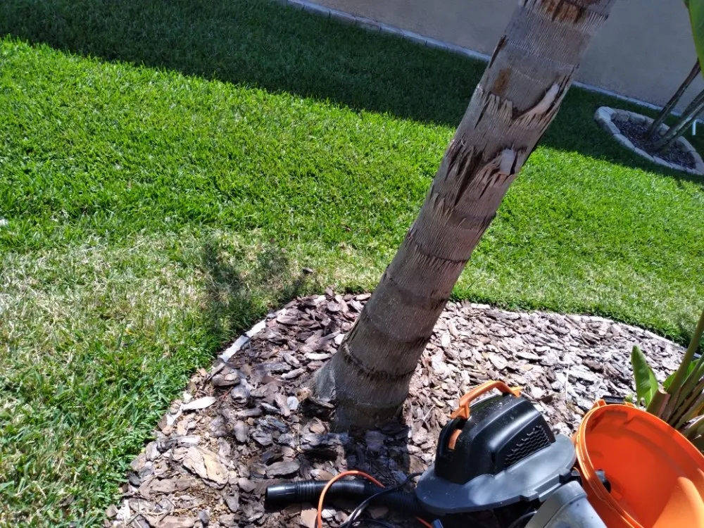 Reliable outdoor landscaping for beautiful yards across Tampa, FL - Nate Landscaping