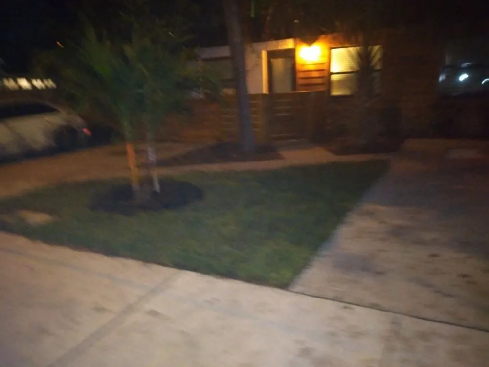 Trusted landscape installation in Tampa, FL by Nate Landscaping