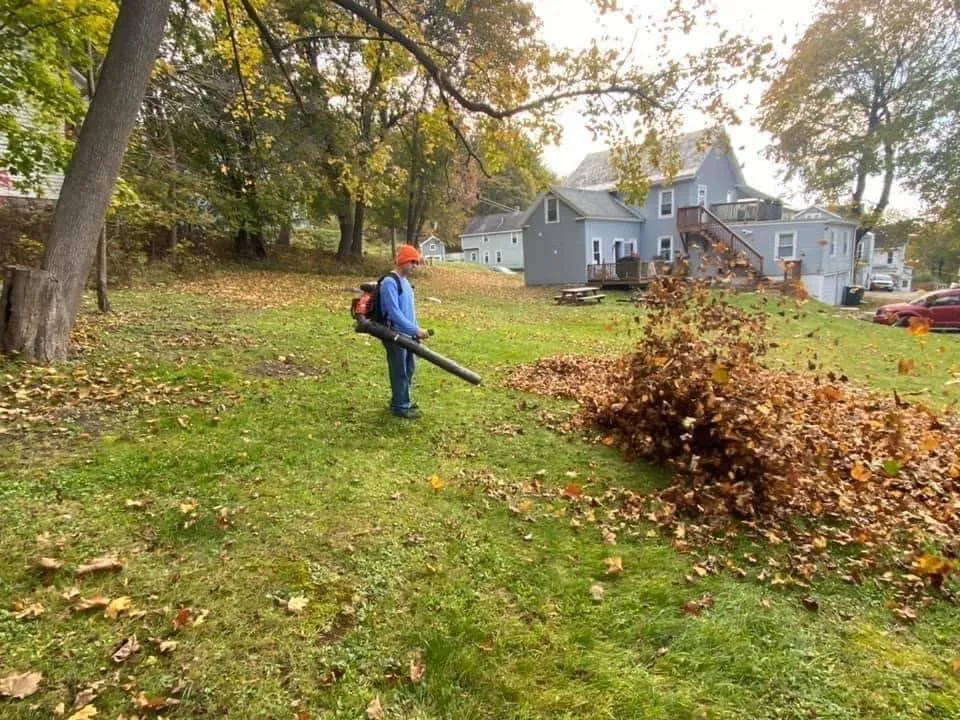 Local yard cleanup service for year-round maintenance in North Adams, MA by Nate Samson Property Management