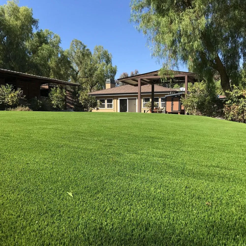 Expert yard cleanup service for outdoor upgrades across Rancho Santa Margarita, CA - Nate Scapes