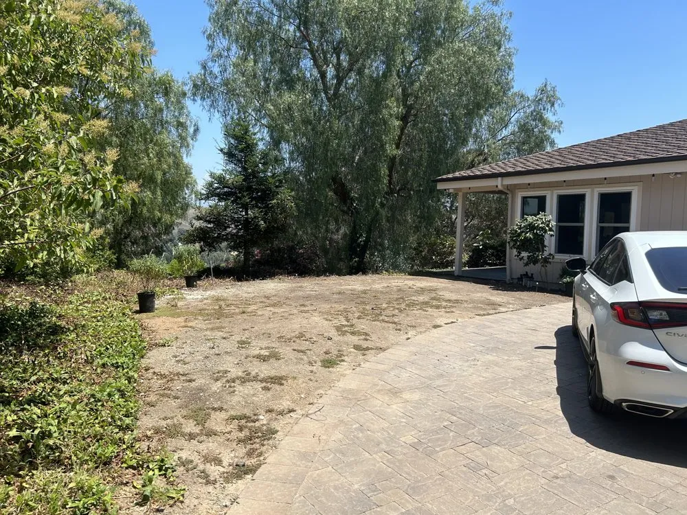Top-rated yard cleanup service in Rancho Santa Margarita, CA - Nate Scapes
