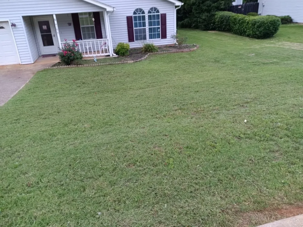 Top-rated landscaping services in Taylors, SC by Nate Yard Service