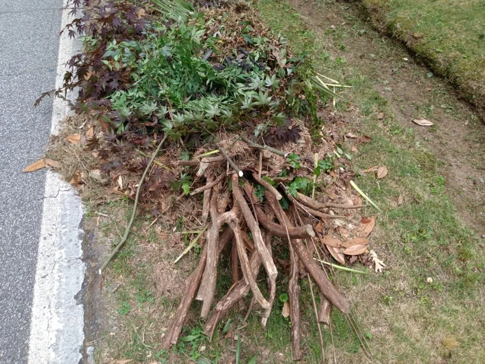 Reliable residential landscaping in Taylors, SC by Nate Yard Service