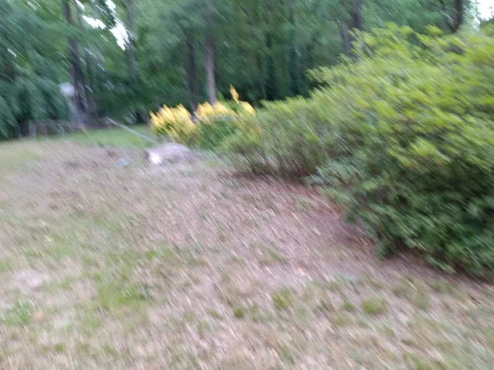 Trusted outdoor landscaping experts serving Taylors, SC - Nate Yard Service