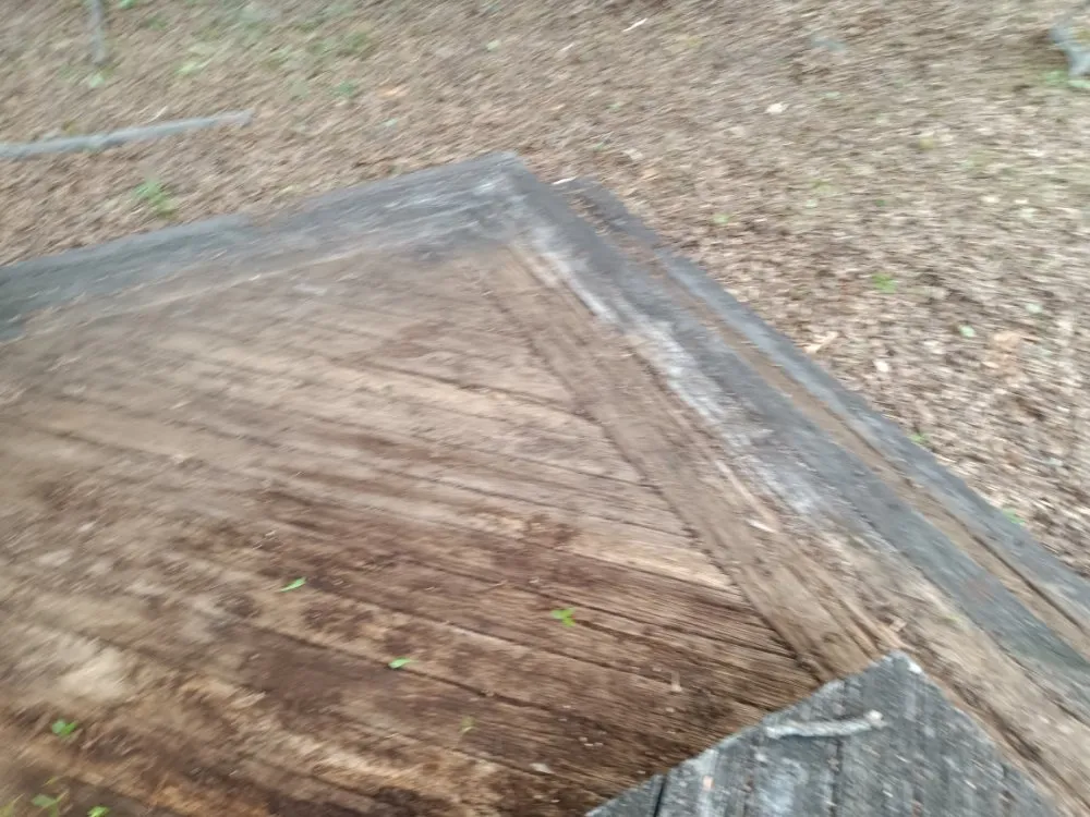 Top-rated residential landscaping in Taylors, SC by Nate Yard Service