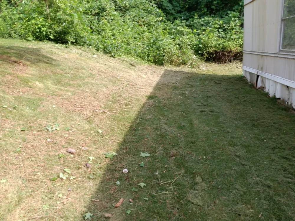 Professional landscape design in Taylors, SC by Nate Yard Service