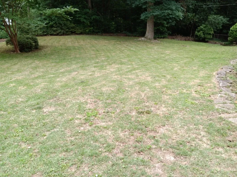 Top-rated outdoor landscaping in Taylors, SC - Nate Yard Service