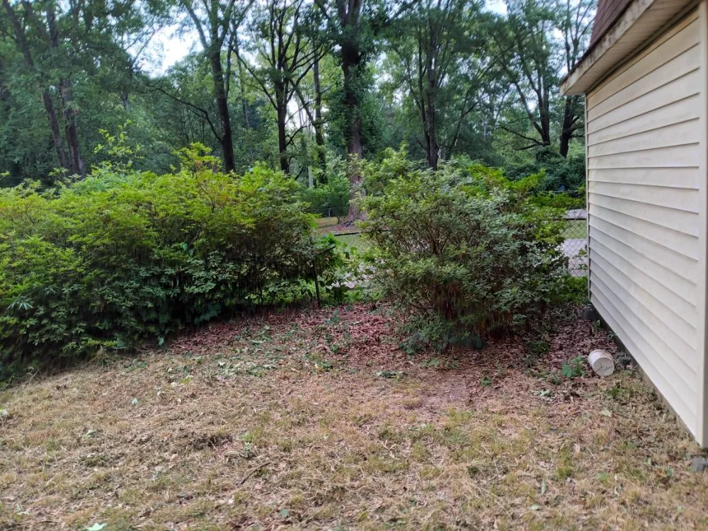 Reliable outdoor landscaping near you across Taylors, SC - Nate Yard Service