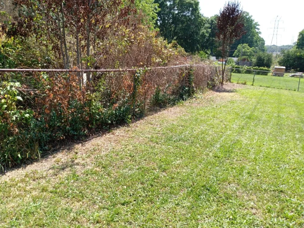 Professional residential landscaping for homes in Taylors, SC by Nate Yard Service