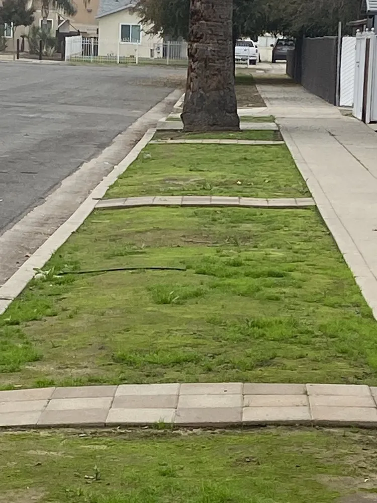 Expert yard cleanup service in Fresno, CA by Nate's Cut-Mow-N-Go