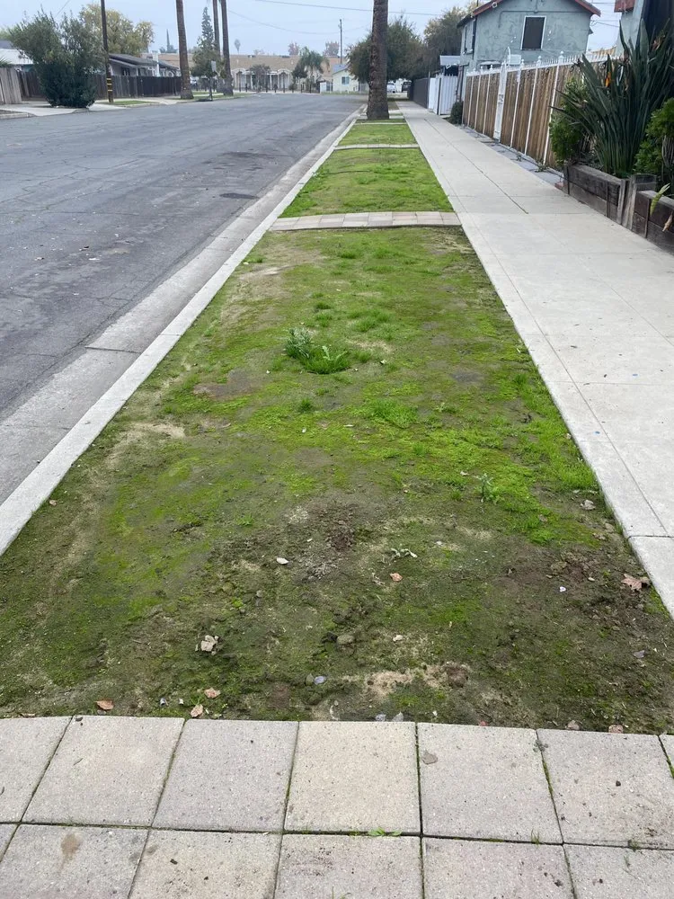 Professional garden landscaping in Fresno, CA by Nate's Cut-Mow-N-Go