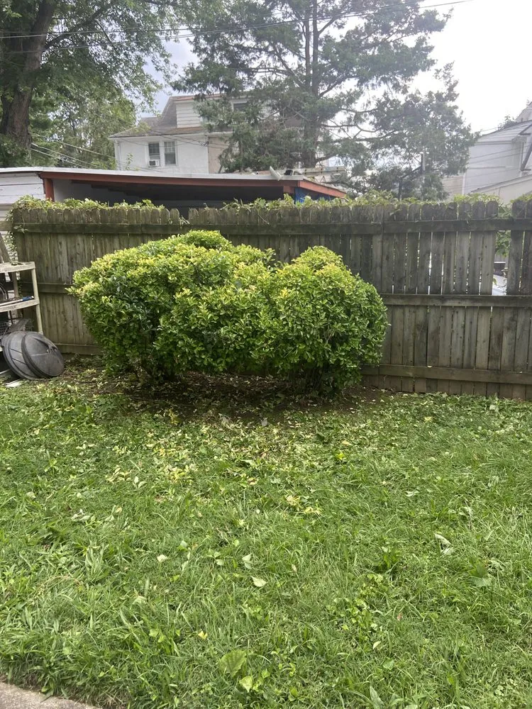 Expert lawn care service in Newark, DE - Nate’s Extra Mile Landscaping