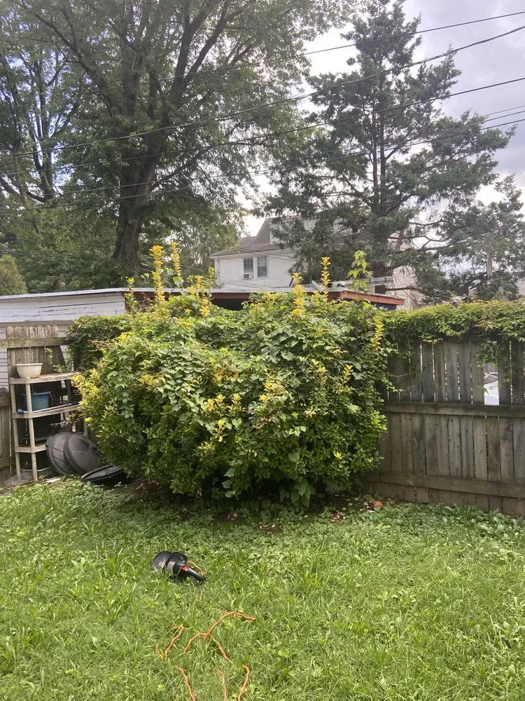 Local landscape installation with custom design across Newark, DE - Nate’s Extra Mile Landscaping