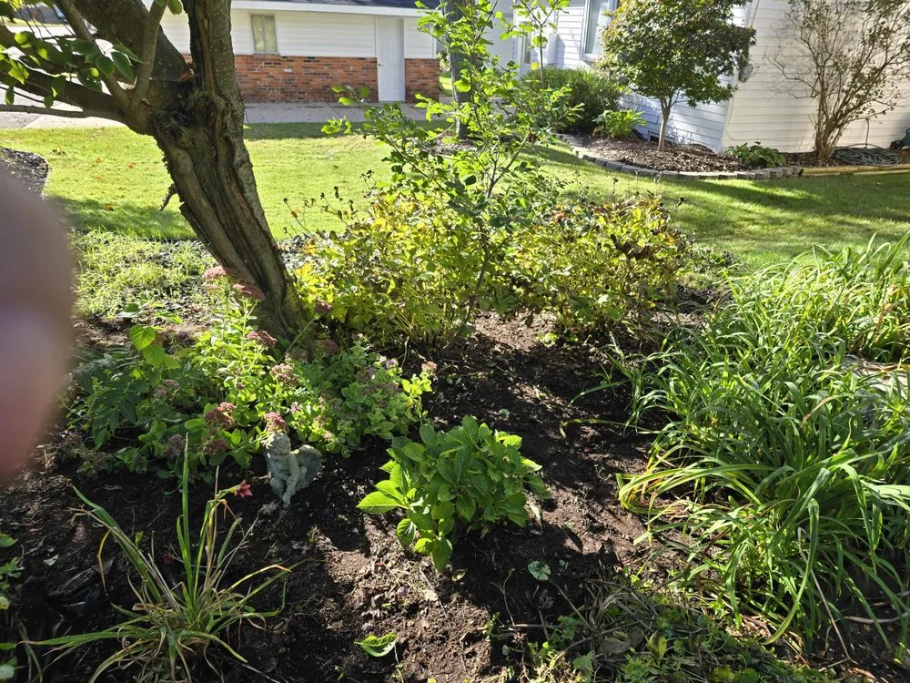 Local yard cleanup service in Leonard, MI by Nates Landscape And Lawn Care