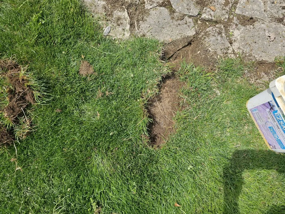 Top-rated yard cleanup service with custom design across Leonard, MI - Nates Landscape And Lawn Care